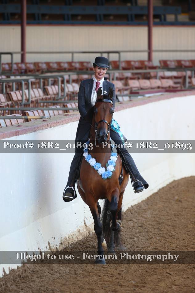 Proof 18R2_01893
