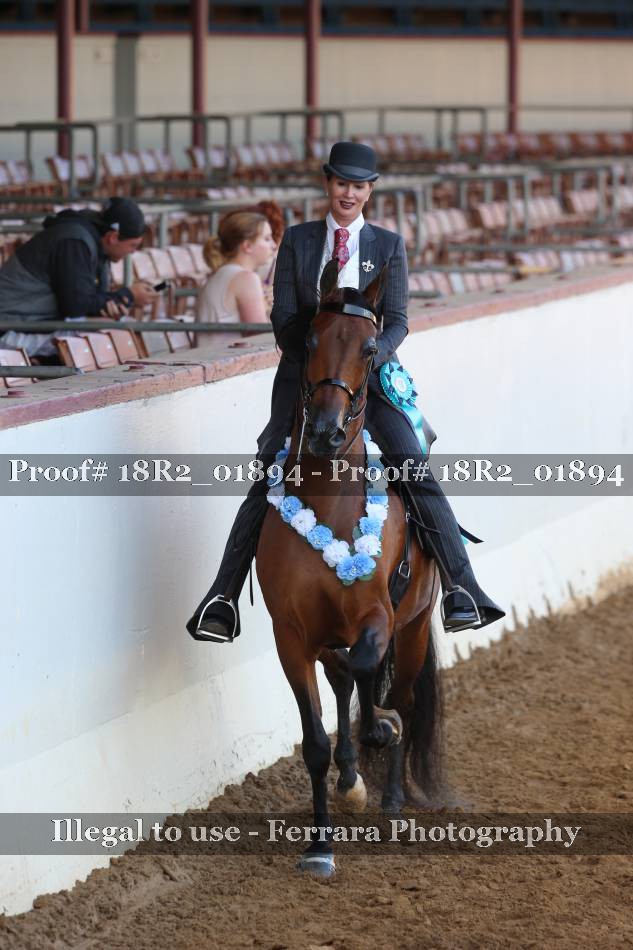 Proof 18R2_01894
