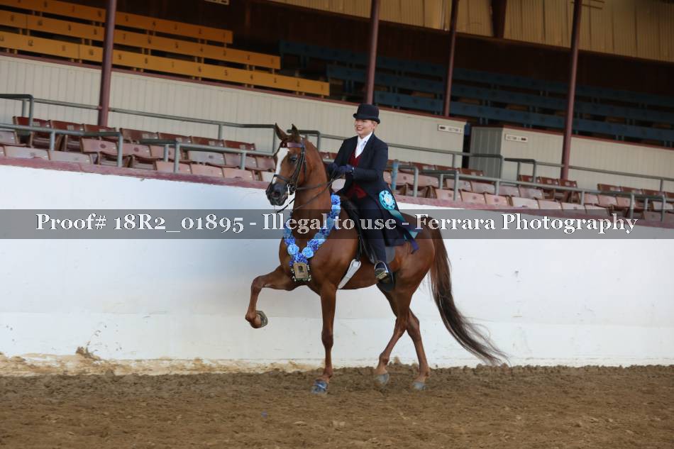 Proof 18R2_01895