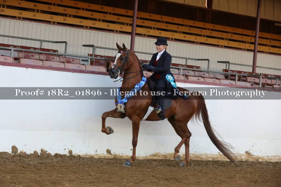 Proof 18R2_01896