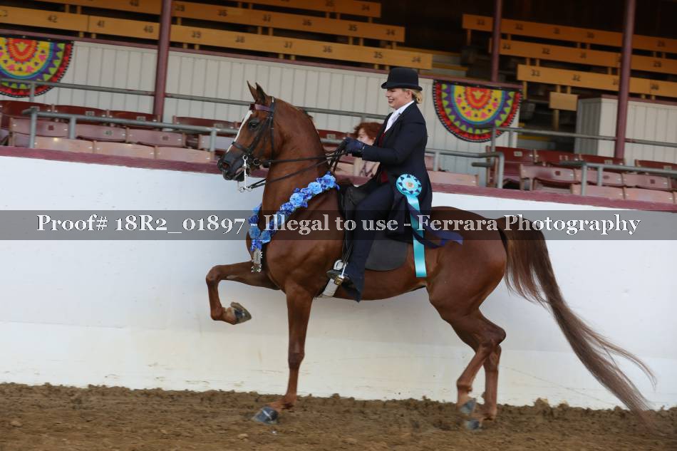 Proof 18R2_01897