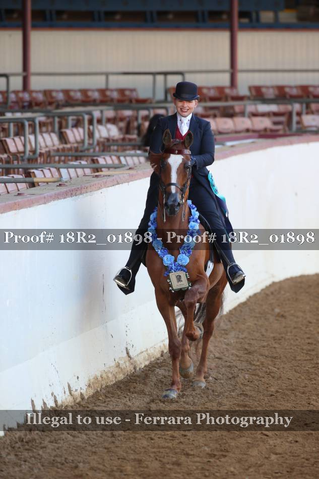 Proof 18R2_01898