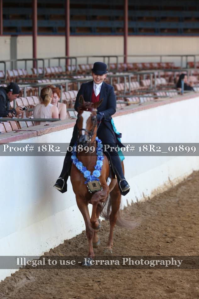 Proof 18R2_01899
