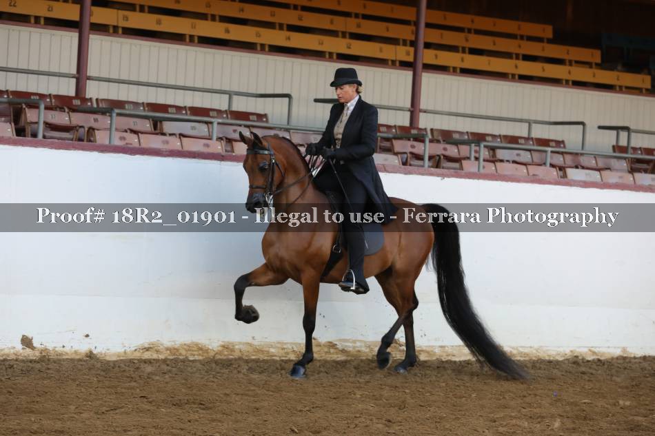 Proof 18R2_01901