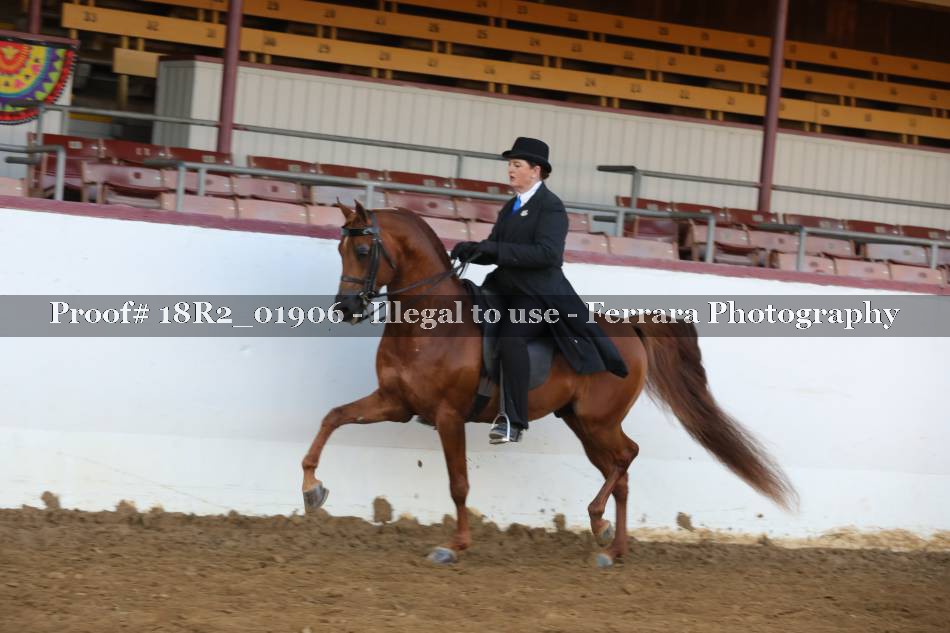 Proof 18R2_01906