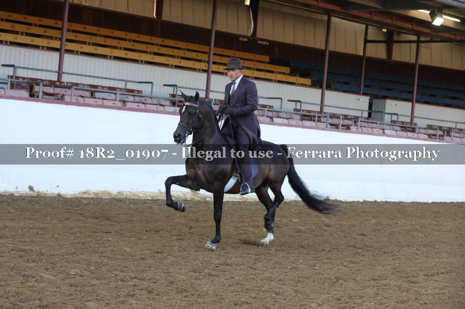 Proof 18R2_01907