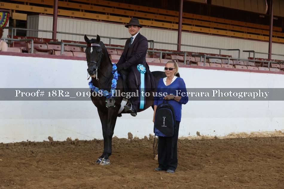 Proof 18R2_01908