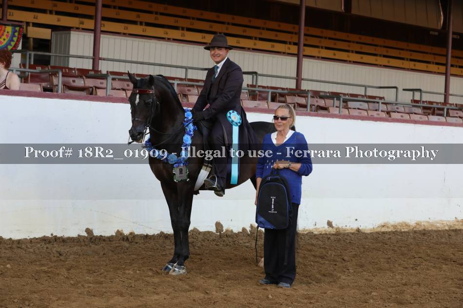 Proof 18R2_01909