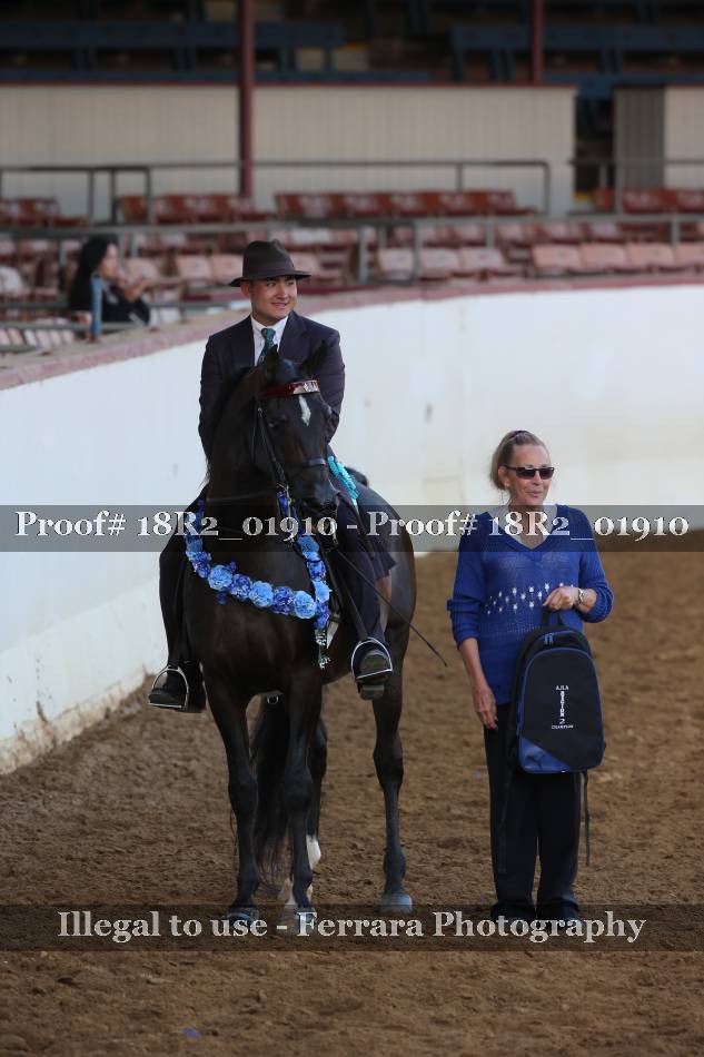Proof 18R2_01910