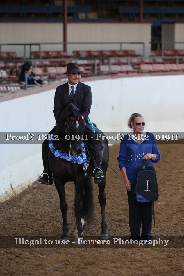 Proof 18R2_01911