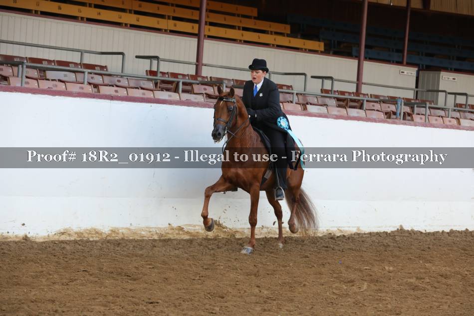 Proof 18R2_01912