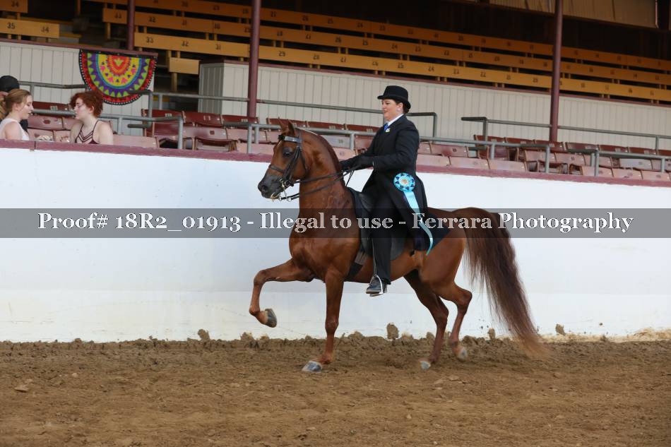 Proof 18R2_01913
