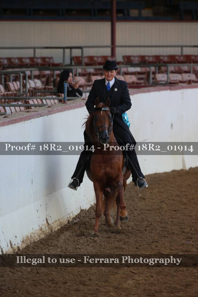 Proof 18R2_01914