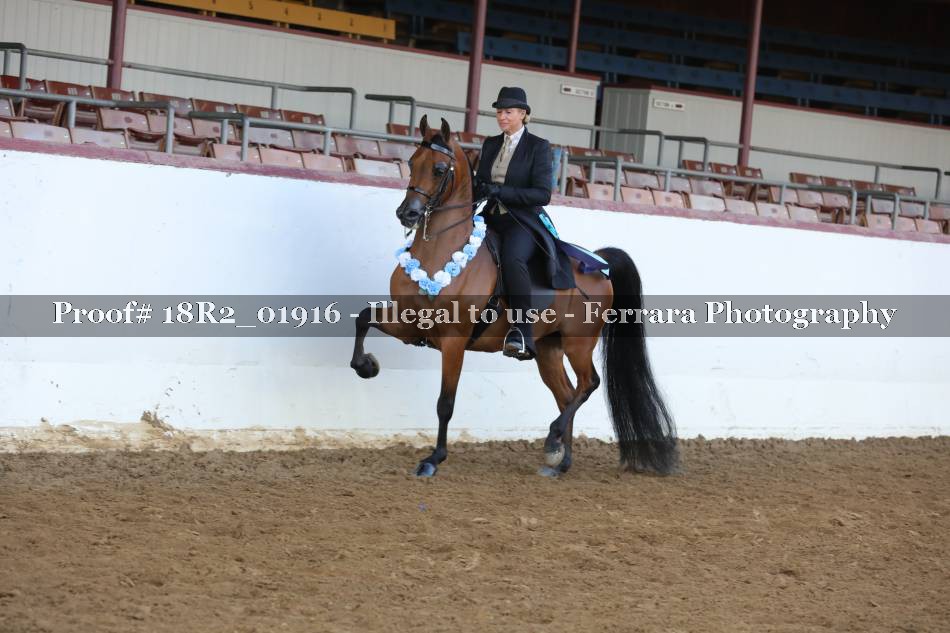 Proof 18R2_01916