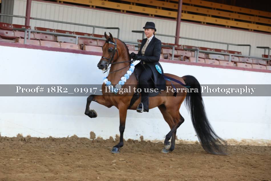Proof 18R2_01917