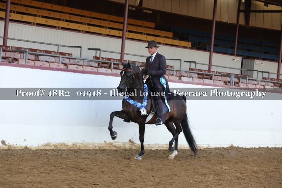 Proof 18R2_01918