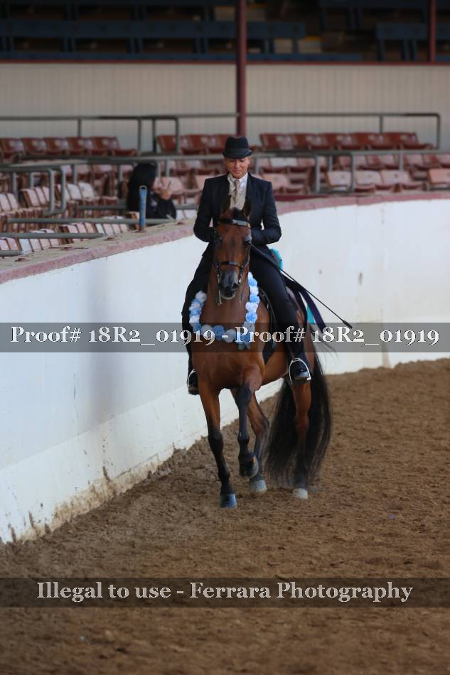 Proof 18R2_01919