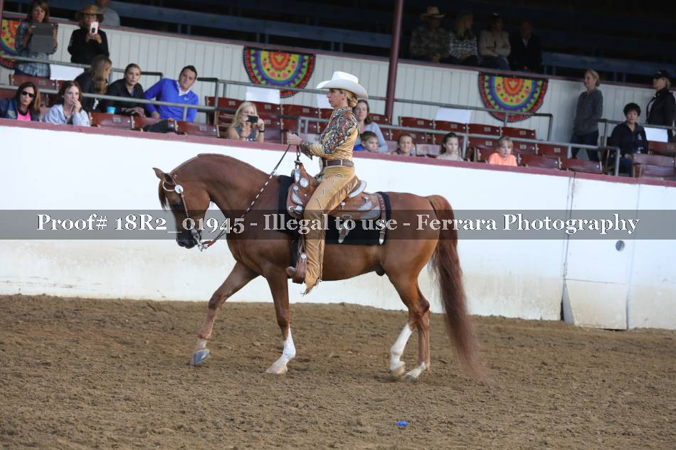 Proof 18R2_01945
