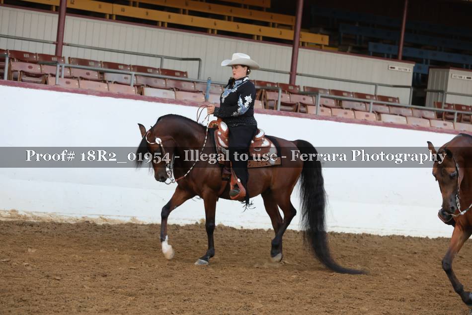 Proof 18R2_01954