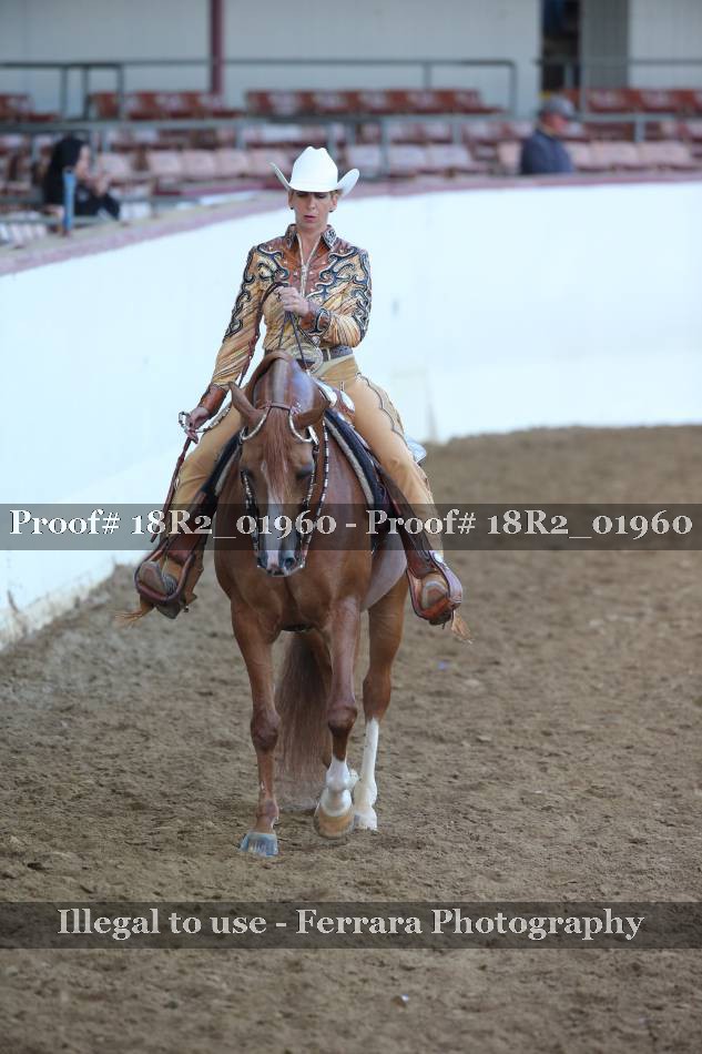 Proof 18R2_01960