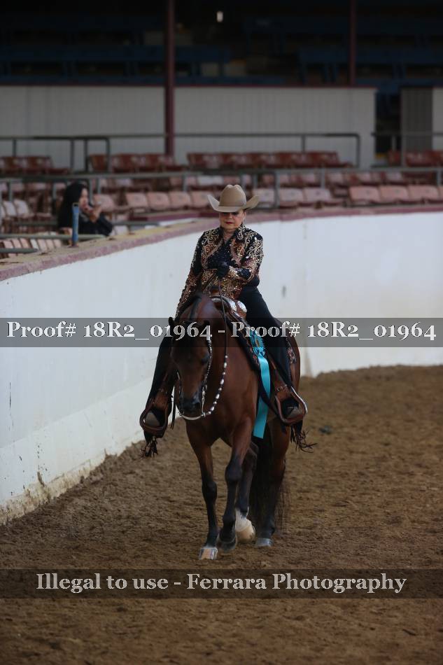 Proof 18R2_01964