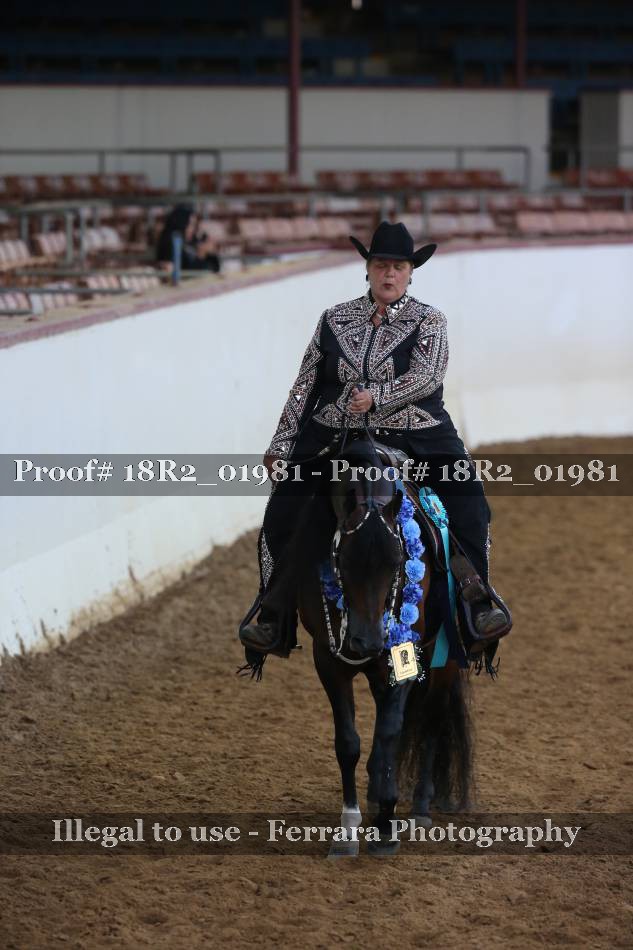 Proof 18R2_01981
