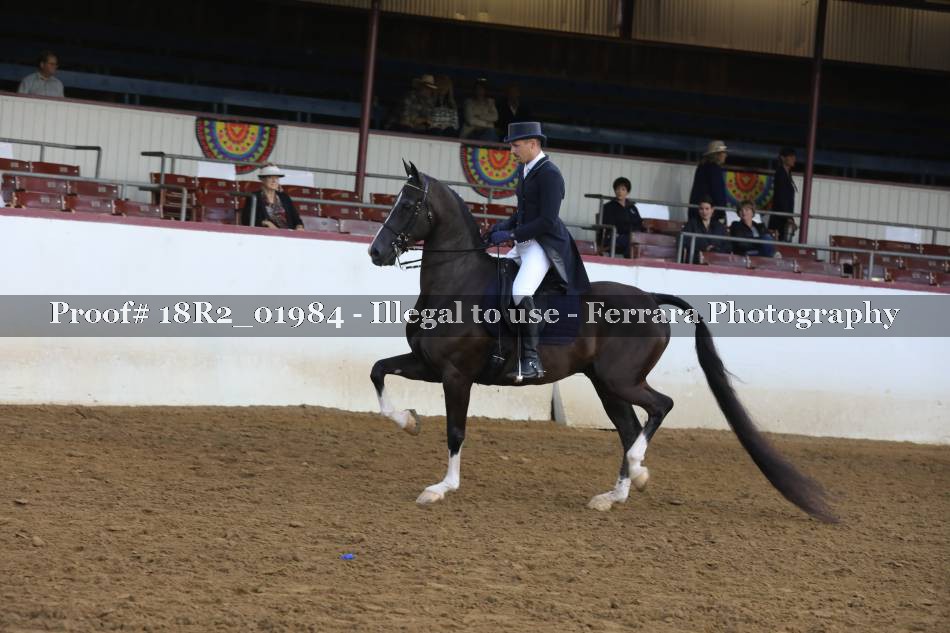 Proof 18R2_01984