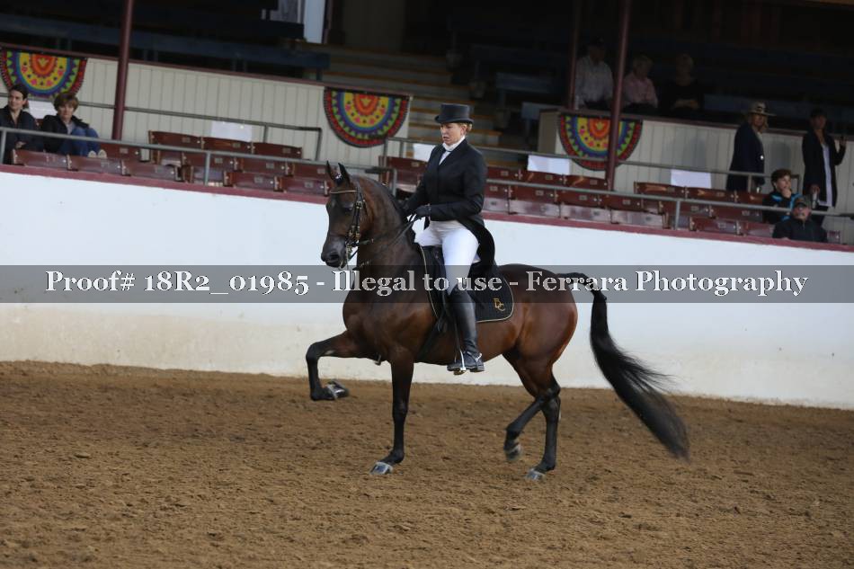 Proof 18R2_01985