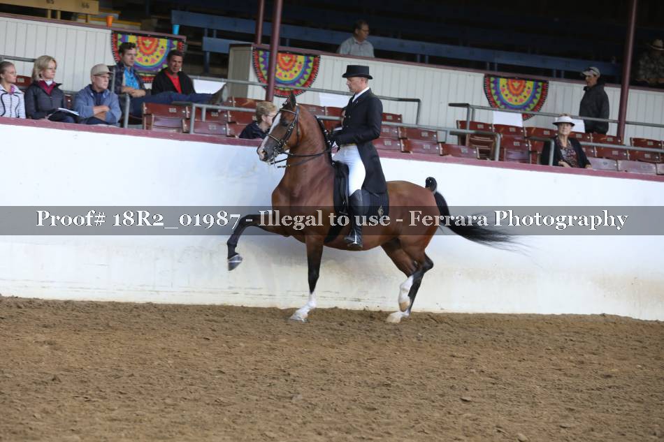 Proof 18R2_01987