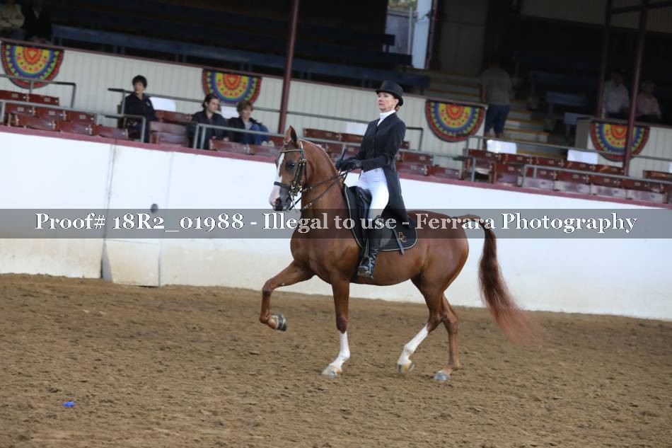 Proof 18R2_01988