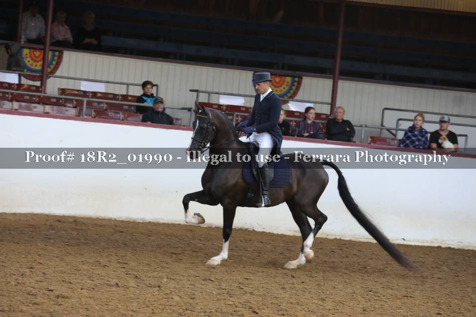 Proof 18R2_01990