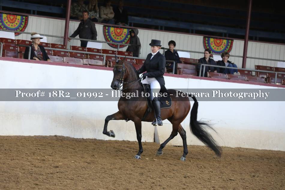 Proof 18R2_01992
