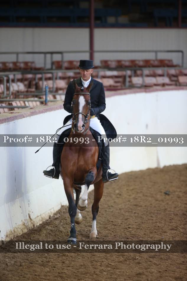 Proof 18R2_01993