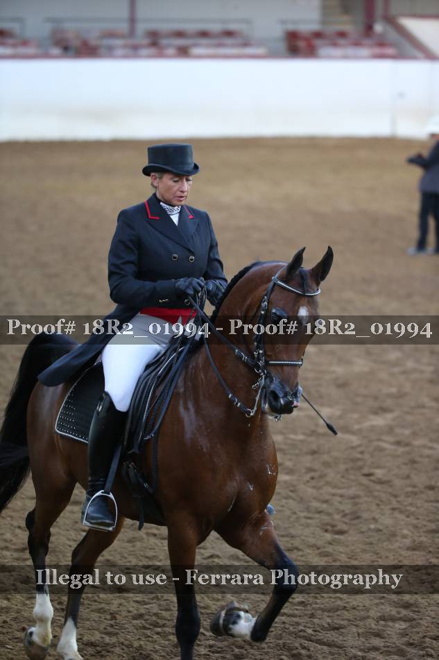 Proof 18R2_01994