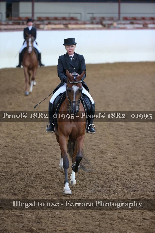Proof 18R2_01995