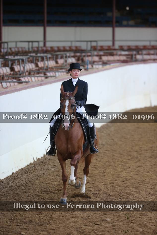 Proof 18R2_01996
