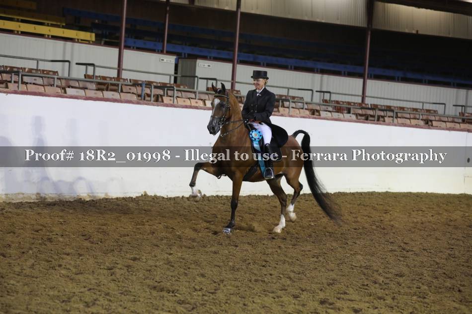 Proof 18R2_01998