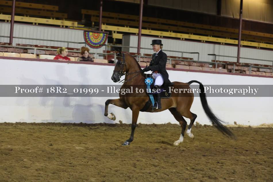 Proof 18R2_01999