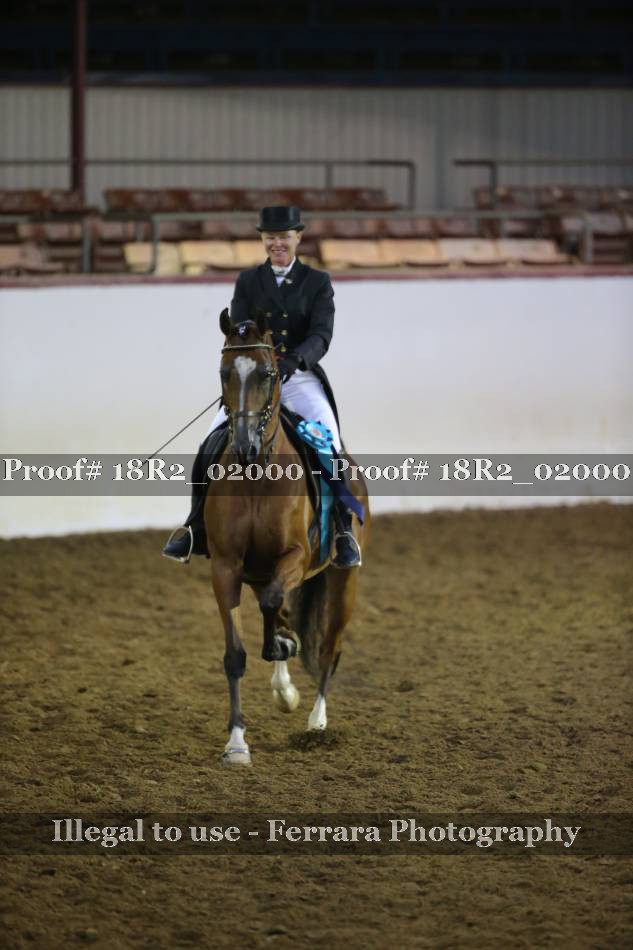 Proof 18R2_02000