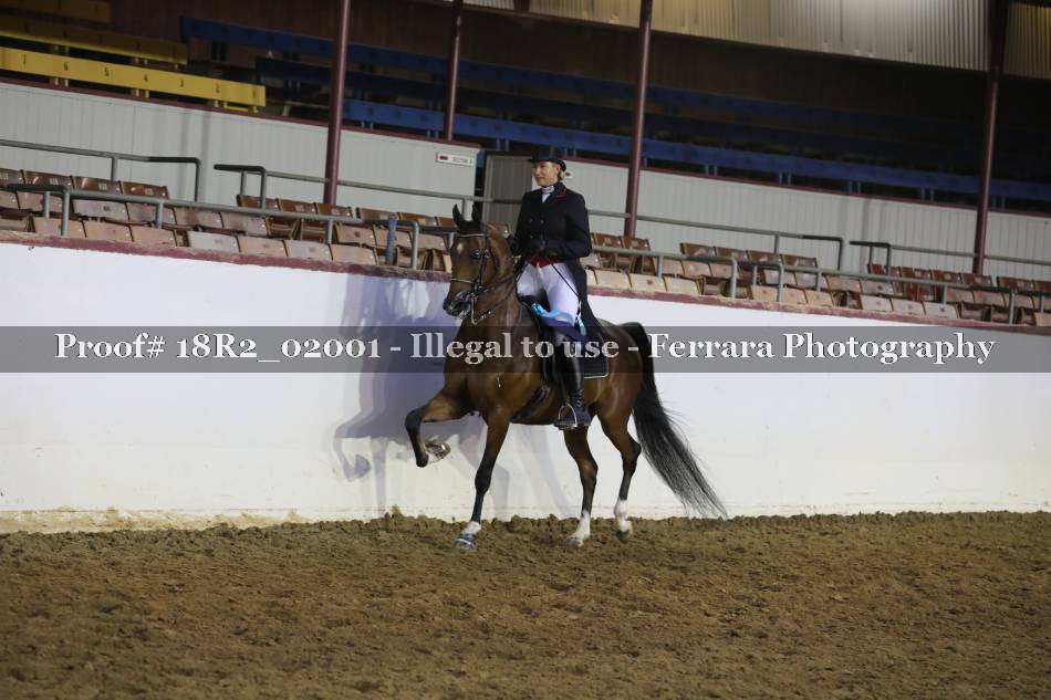 Proof 18R2_02001