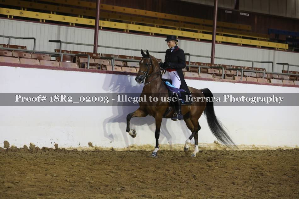 Proof 18R2_02003