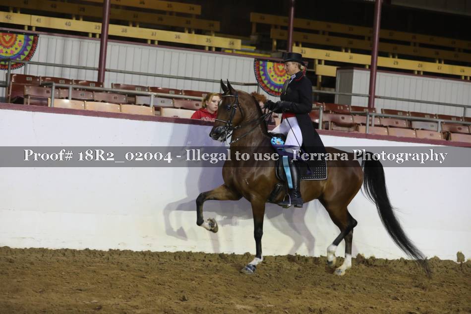 Proof 18R2_02004