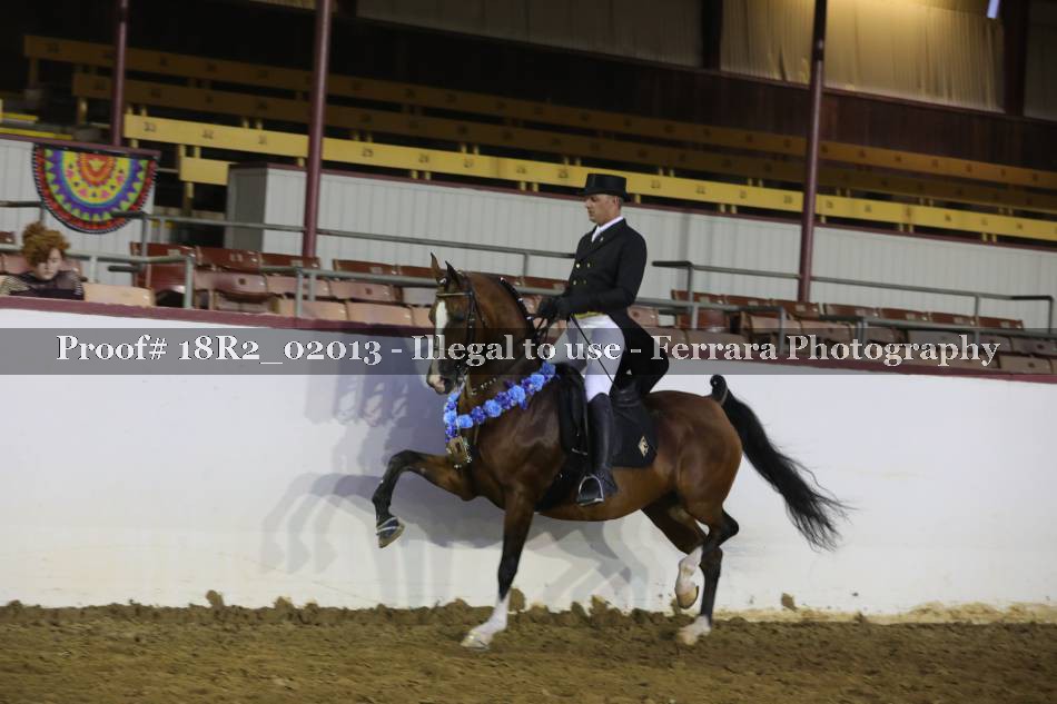 Proof 18R2_02013