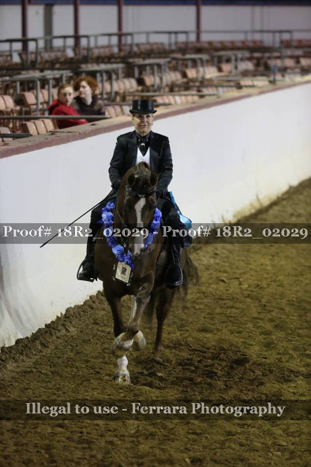 Proof 18R2_02029