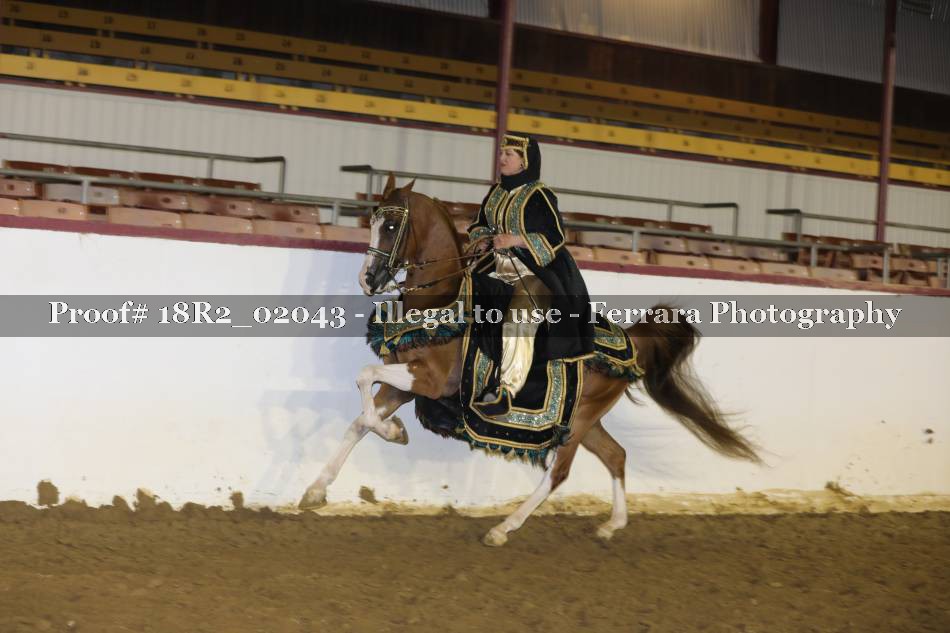 Proof 18R2_02043