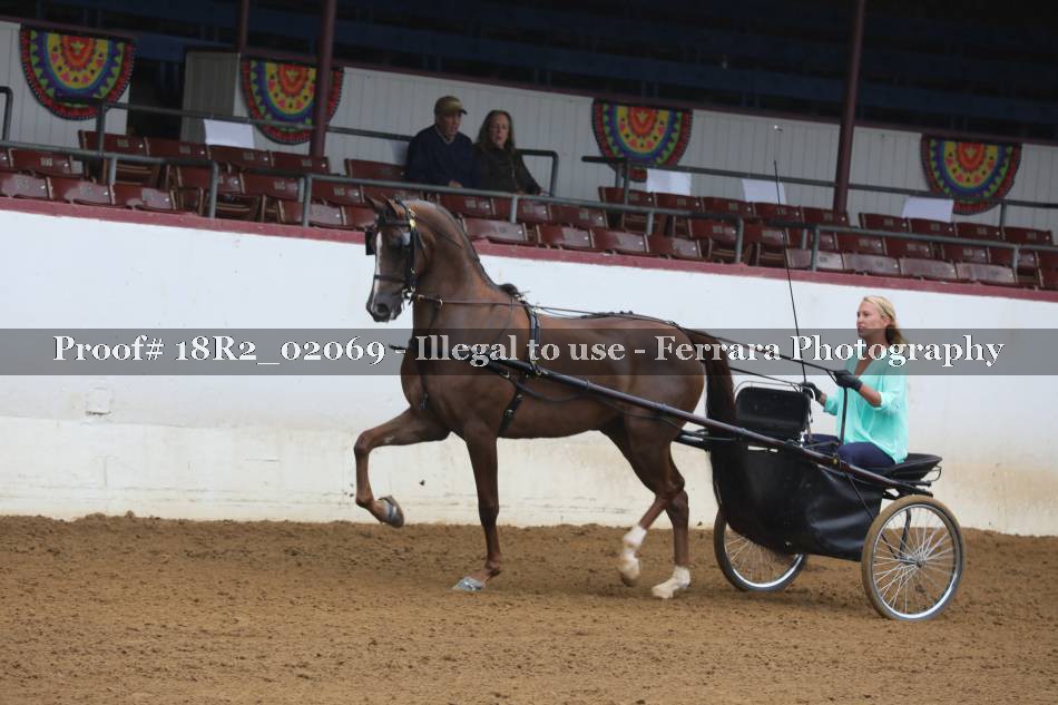Proof 18R2_02069