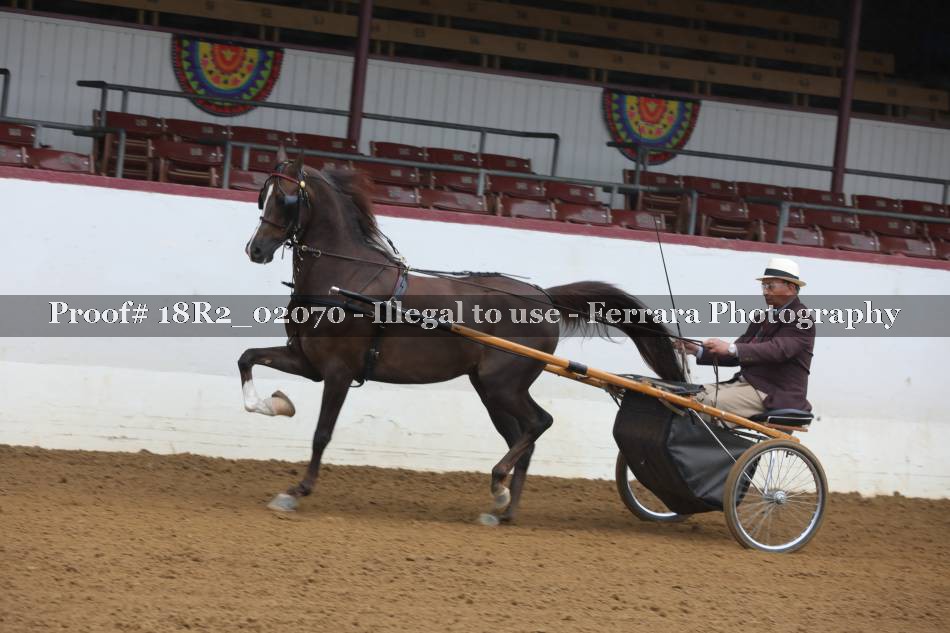 Proof 18R2_02070