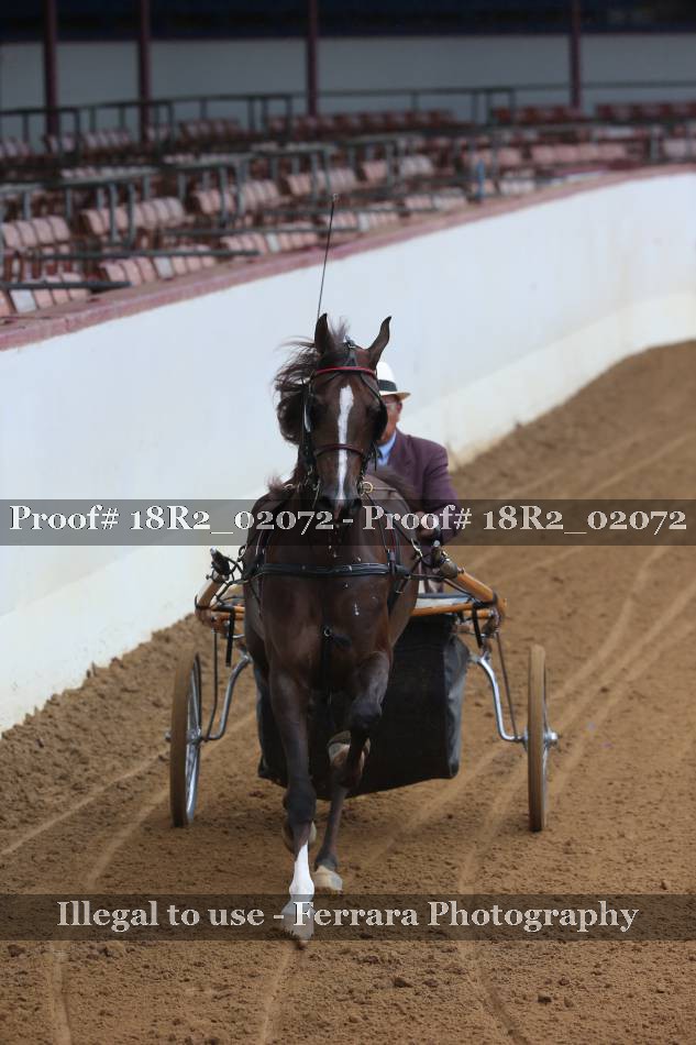 Proof 18R2_02072