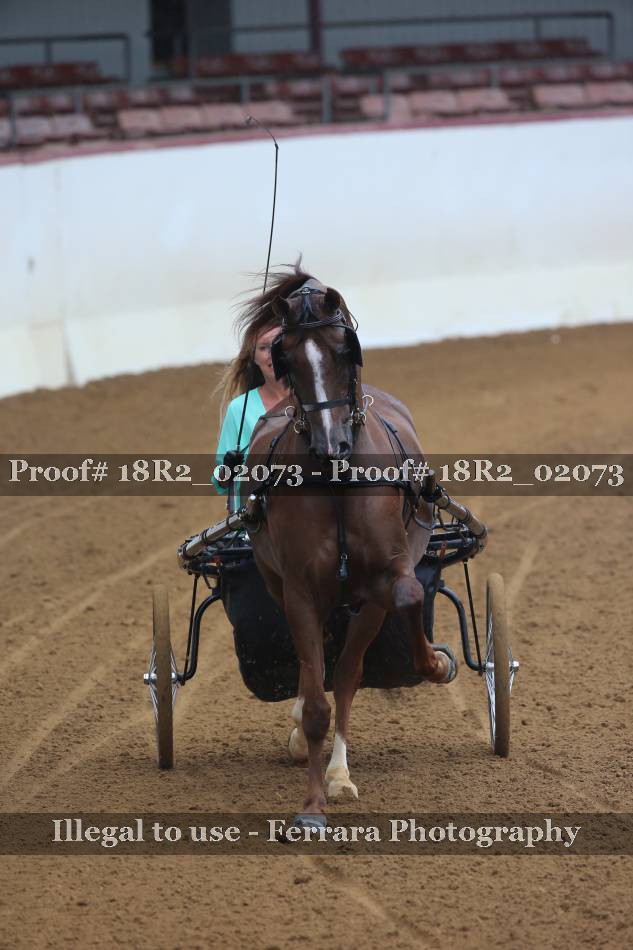 Proof 18R2_02073