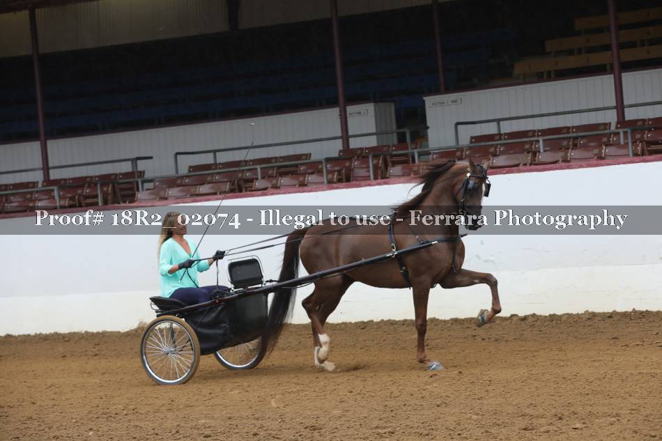 Proof 18R2_02074